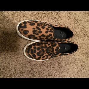 A new day leopard slides